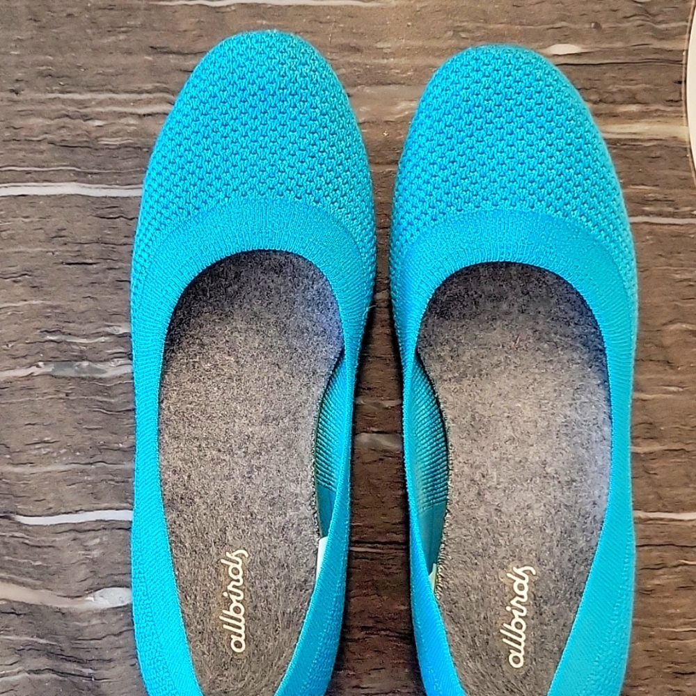 Teal Allbirds Tree Breezers ballet flats size 7.5W EUC